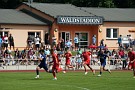 VfB Germania Halberstadt - CFC 0:5