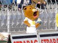 FC CZ Jena - CFC 3:1 | Hamster? Feldmaus? Goleo 0815? ;o)