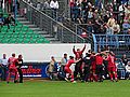 CFC - Germania Halberstadt 1:2 | Die Roten jubeln...