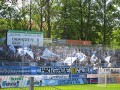 CFC - FC Sachsen Leipzig 3:1 | Eine gut gelaunte Südkurve